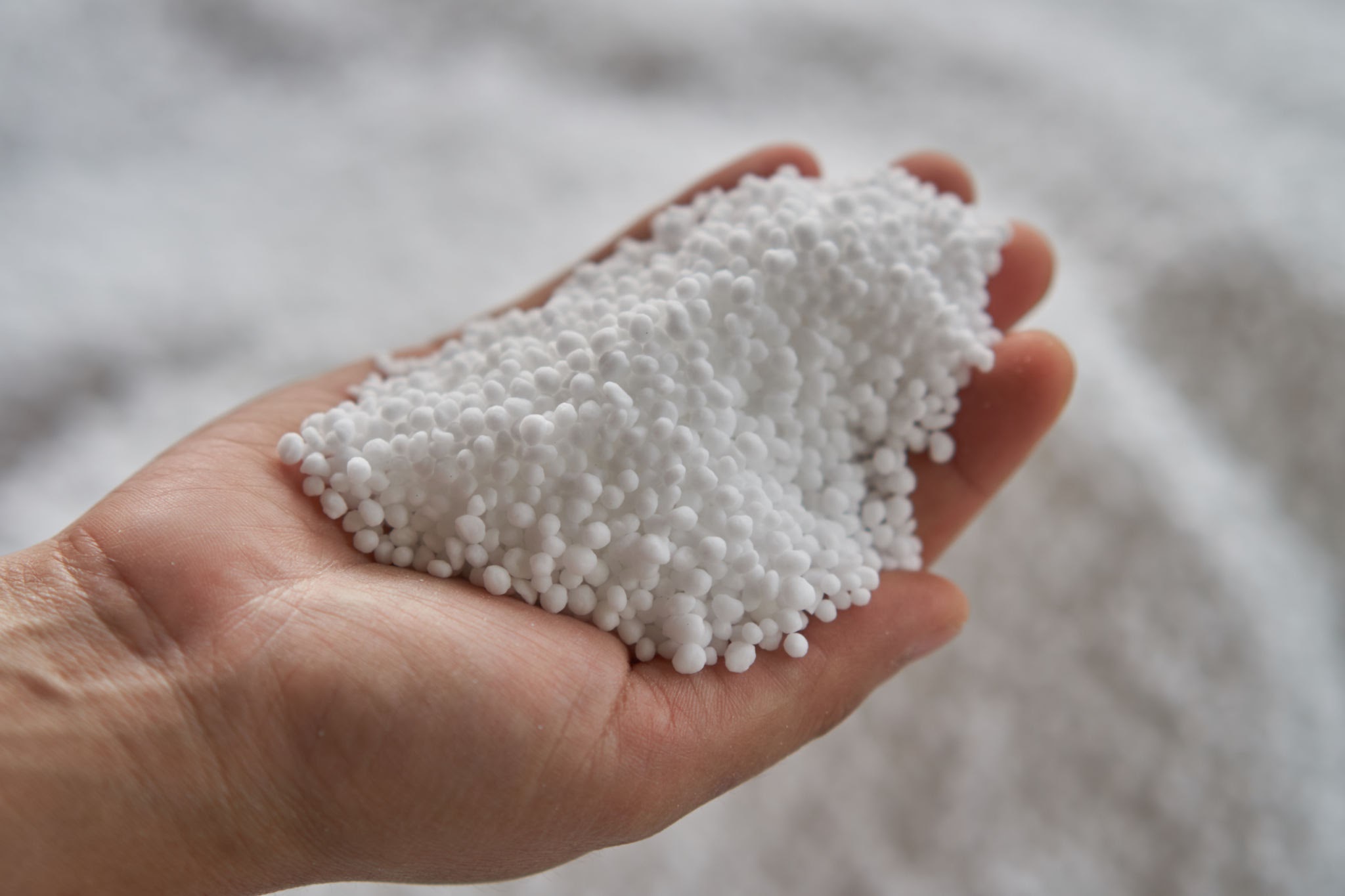 Nitrogen fertilizers or urea fertilizer in farmer hand.
